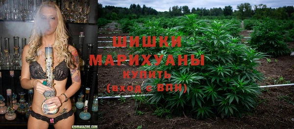 первитин Заводоуковск