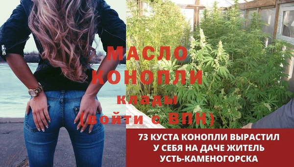 первитин Заводоуковск