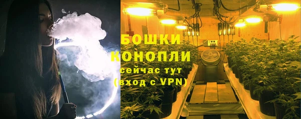 первитин Заводоуковск