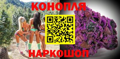 стафф Лесосибирск