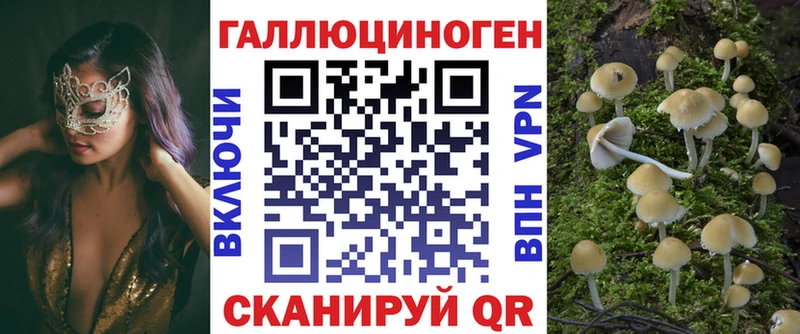 Галлюциногенные грибы мицелий  Купить где  Заводоуковск 