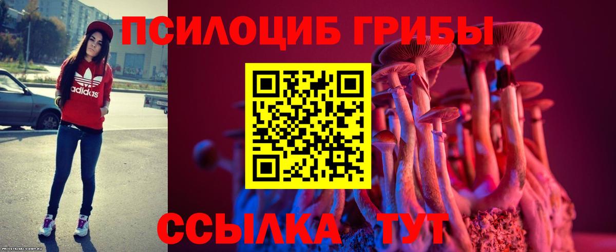 Галлюциногенные грибы Magic Shrooms  Заводоуковск 