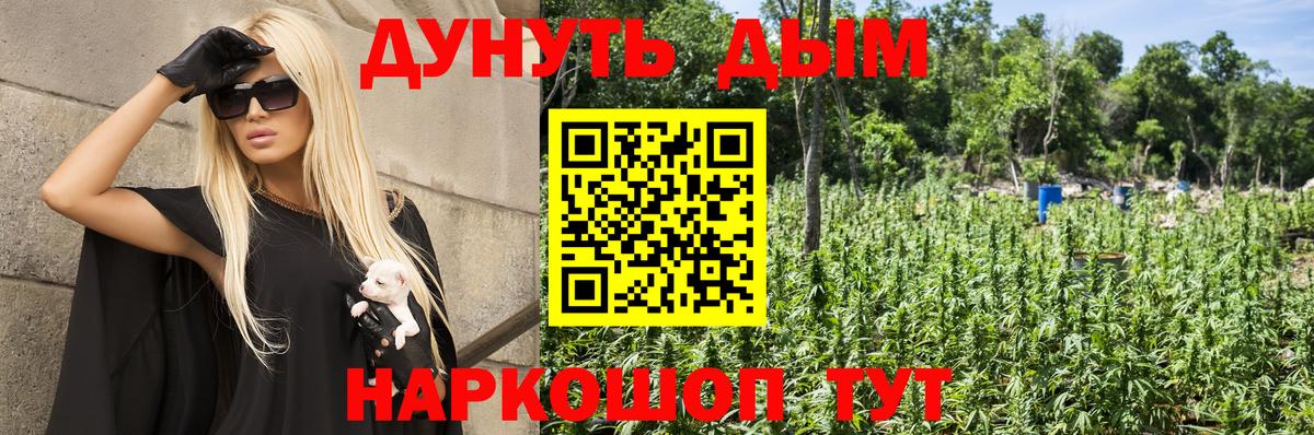 Шишки марихуана индика  Конопля AK-47  МАРИХУАНА Amnesia  Заводоуковск  Шишки марихуана план 