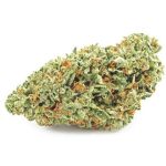 Шишки OG Kush  (Гидропоника, бошки) VHQ в Заводоуковске
